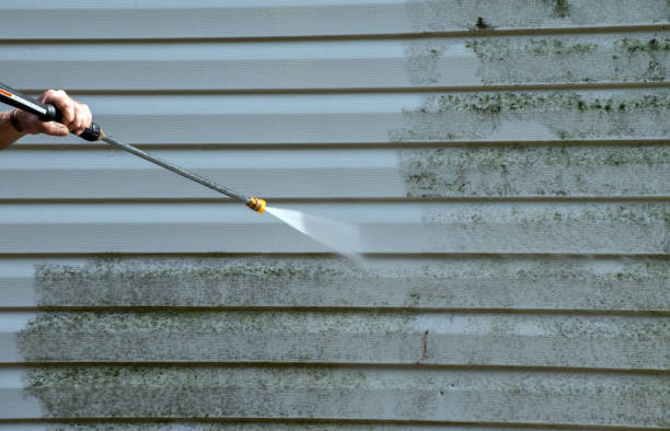 Reliable Harbour Heights, FL Pressure washing Solutions